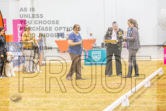 PreNovice Awards ThursJJL_4967_Shreveport_2022_HR3