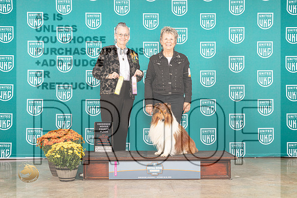 Shetland Sheepdog #111 Thurs NovOB4th Judge Pat Pierce_MJ_0823_Shreveport_2022_HR3