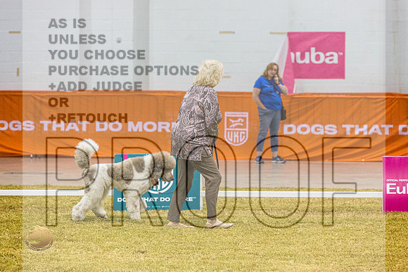 Novice C #136 ThursJJL_5875_Shreveport_2022_HR3