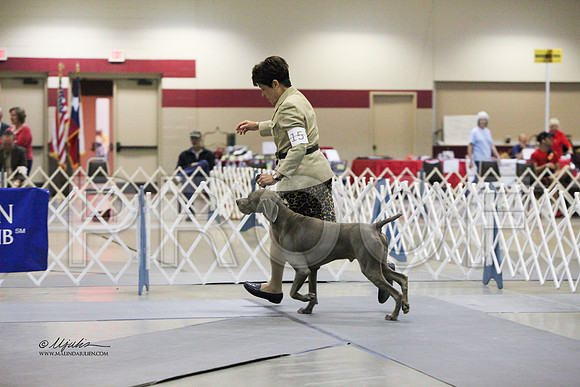 Weim-6997 HR