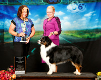 Australian Shepherd Sat Reserve Best in Show Terri Rein Judge Jeanne Heger