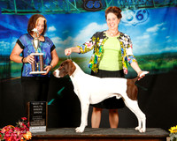German Shorthaired Pointer Sat Best in Show Jennie Dunnaway Judge Jeanne Heger