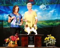 Papillon Sat Best Puppy in Show Pat Gonzales Judge Jeanne Heger