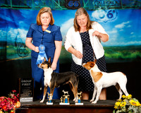 Rat Terrier Sat Group 1 Renee Morgan Judge Tracey Kallas