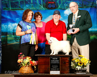 American Eskimo Sat New Grand Irene Judge Alan Krenek