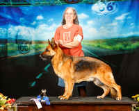 German Shepherd Sat Custom Cynthia Tidmore