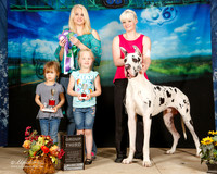 Great Dane Sat Group 3 Jennifer Gallo