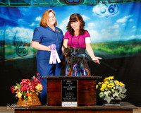 Manchester Terrier Sat Best Puppy in Show Mary Gonzalez Judge Tracey Kallas