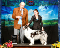 Border Collie Sun Group 1 Kelsy Corn Judge Alan Krenek