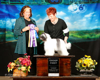 Chinese Crested Sun Group 1 Judge Jeanne Heger
