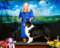 Australian Shepherd Sat Best in Show Terri Rein