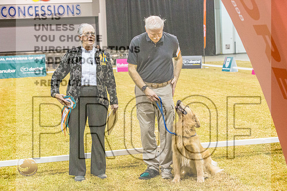 Obedience #105 HIT ThursJJL_6465_Shreveport_2022_HR3