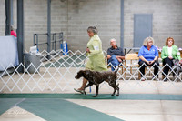 Best Alt in Show Sat S1 Ring