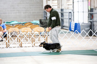 Best in Show Alt Sat S2 Ring
