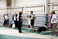 Best in Show Sat S1 Ring