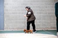Dachshund Sat S2 Ring