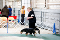 Entlebucher Sat S1 Ring