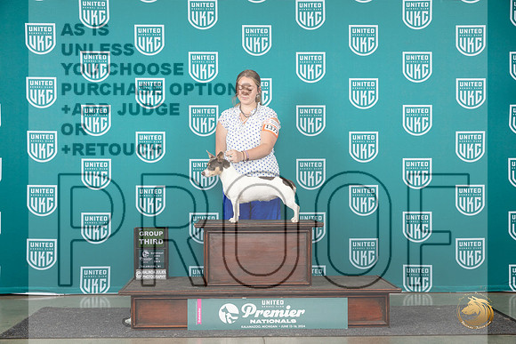 Teddy Roosevelt Terrier #1342 Sat G3 Judge Corianna Glenn__JP_2325_Premier_2024_HR3
