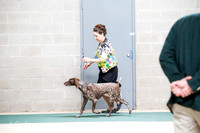 Gun Dog Group Alt Sat S1 Ring