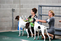 Gun Dog Group Sat S1 Ring