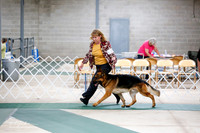 Herding Group Sat S1 Ring