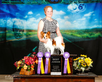 Papillion Sat Best JR Sarah Spencer