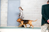Scenthound Group Sat S2 Ring