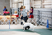 Silken Windhound Sat S1 Ring