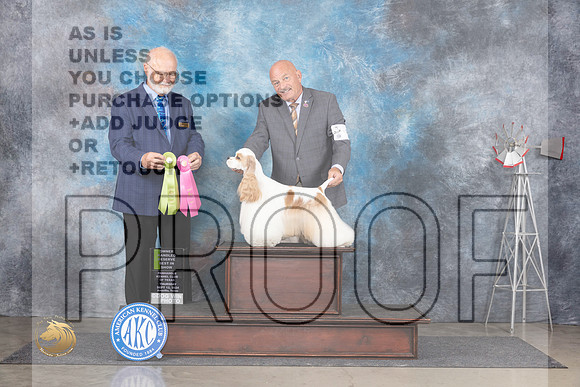 Cocker Spaniel Party #5 Thurs OHRBISSOHG3 Judge Gary Andersen__JP_5136_Amarillo_2024_HR3