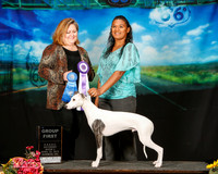 Whippet Sun Group 1 Ariel Dupree Tracey Kallas