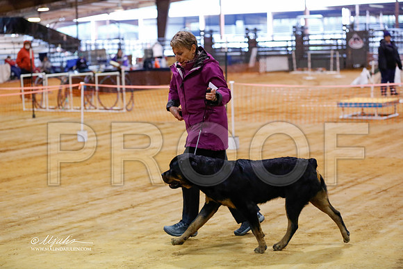 rott-4186-MrshlDec13-HR