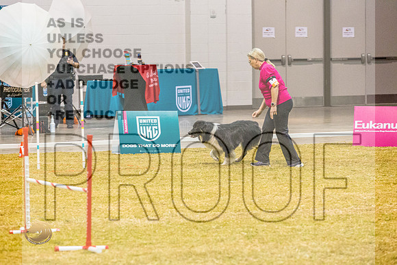 Agility #121 2JJL_0725_Shreveport_2022_HR3