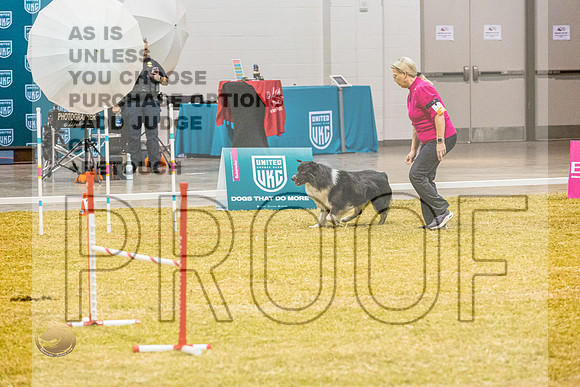 Agility #121 2JJL_0726_Shreveport_2022_HR3