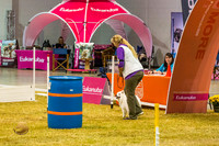 Agility #132