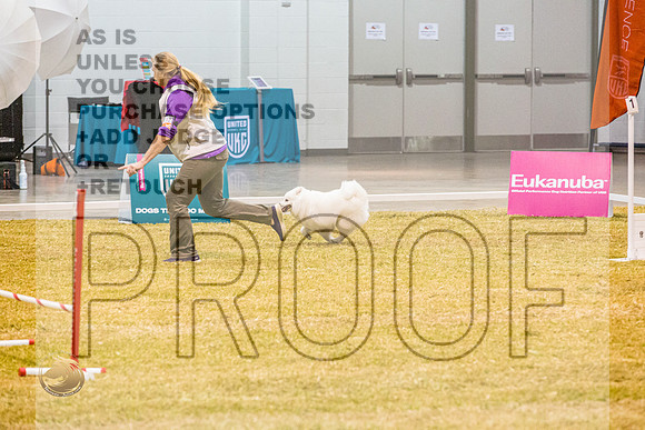 Agility #132JJL_0206_Shreveport_2022_HR3