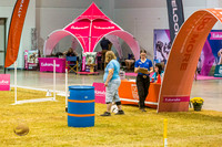 Agility #134