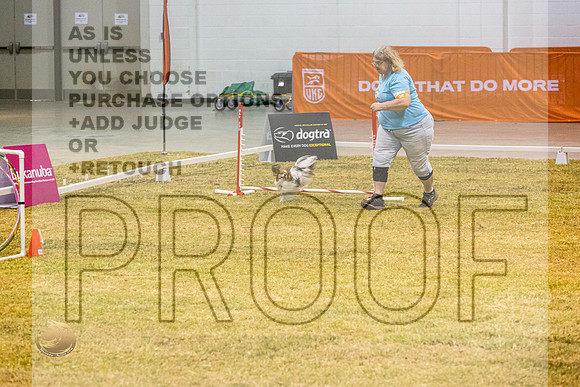Agility #134 JJL_9800_Shreveport_2022_HR3