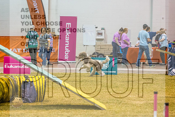 Agility #136 2JJL_0291_Shreveport_2022_HR3