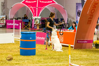Agility #144