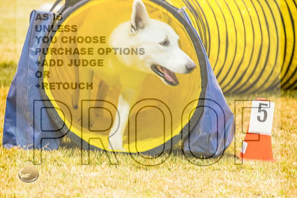 Agility #144 PROMOJJL_0948_Shreveport_2022_HR3