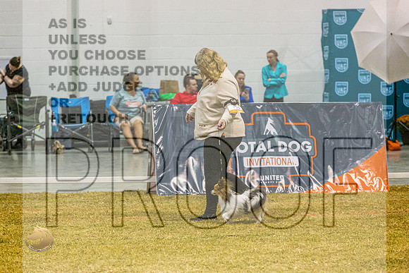 Papillon #134 SatJJL_2203_Shreveport_2022_HR3