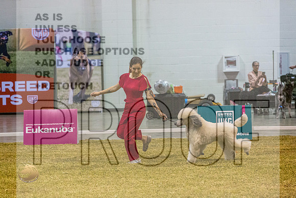 Poodle Std #? SatJJL_3108_Shreveport_2022_HR3