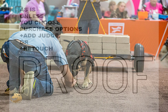 WP #WinstonJJL_0990_Shreveport_2022_HR3