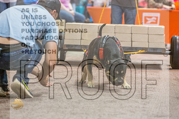 WP #WinstonJJL_1001_Shreveport_2022_HR3