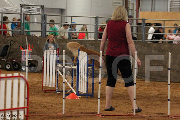 JWWSunAgility-5194LR