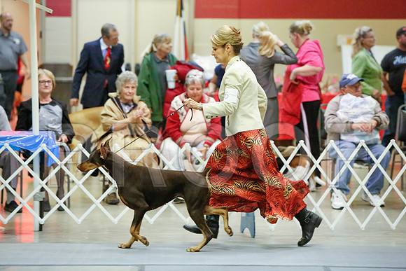 _JJ_5830-AmarilloSept2014-HR3
