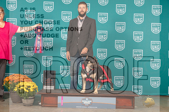 American Bully #139 Fri MWPPP Judge Valerie Piltz_MJ_0898_Shreveport_2022_HR3