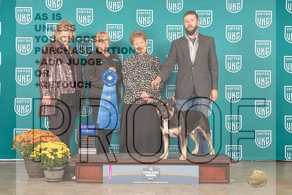 American Bully #139 Sat G1_MJ_0928_Shreveport_2022_HR3