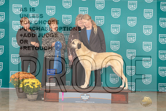 Anatolian Shepherd Dog #133_MJ_0989_Shreveport_2022_HR3