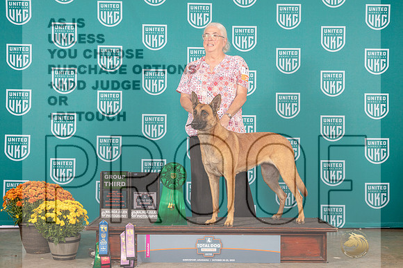 Belgian Malinois #124 Sat RO1C2nd AdvInt_MJ_0881_Shreveport_2022_HR3